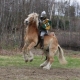Jousting in New Hampshire