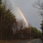 Rainbow in Maine