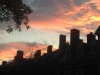 sunset-at-harvard