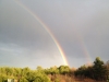 Maine Rainbow