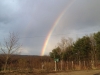 Maine Rainbow